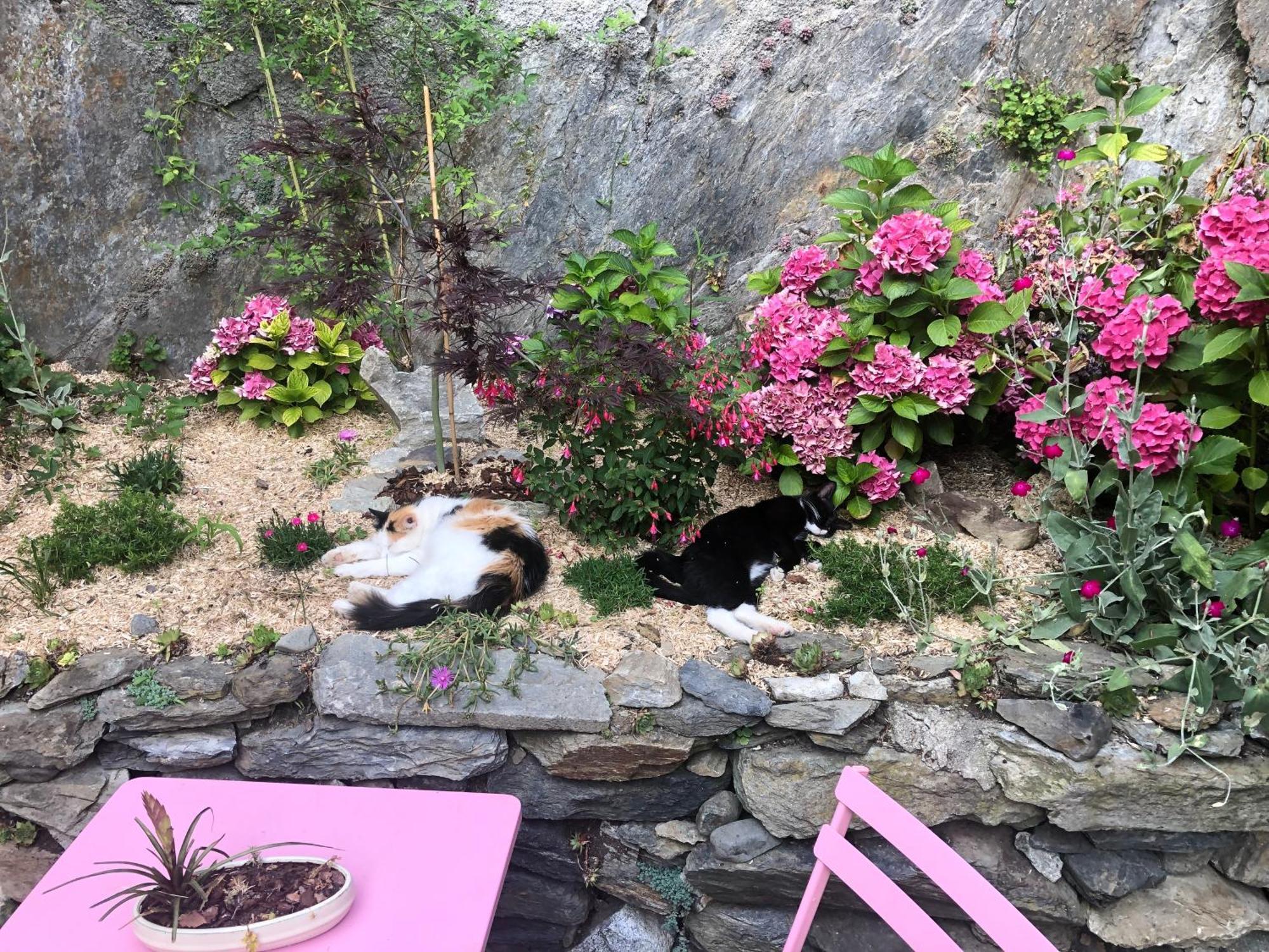 Privée à Deux Pas De Quarto em Acomodações Particulares Luz-Saint-Sauveur